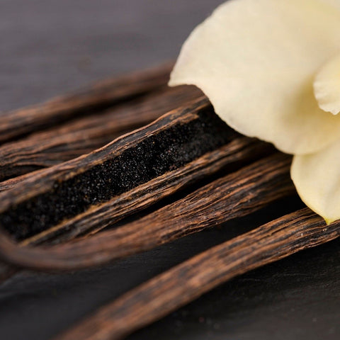 Warm Vanilla | Cashmere Wax Melts