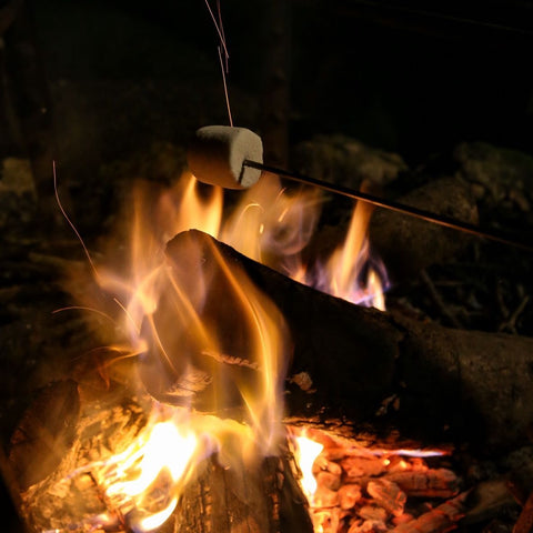 Campfire | Marshmallow Wax Melts
