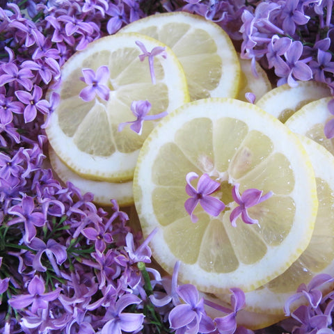 Calabrian Lemon | French Lilac